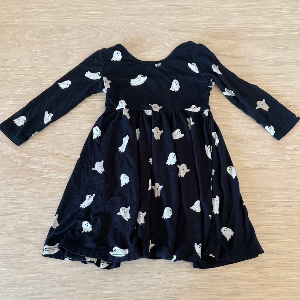 Kyte Baby LS Twirl dress EUC 18-24m